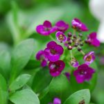 DSC_0103