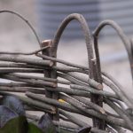 DSC_0066